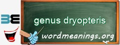 WordMeaning blackboard for genus dryopteris